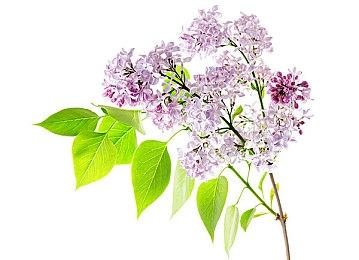 Steam喜加一：动作冒险游戏《虚构世界》免费领取